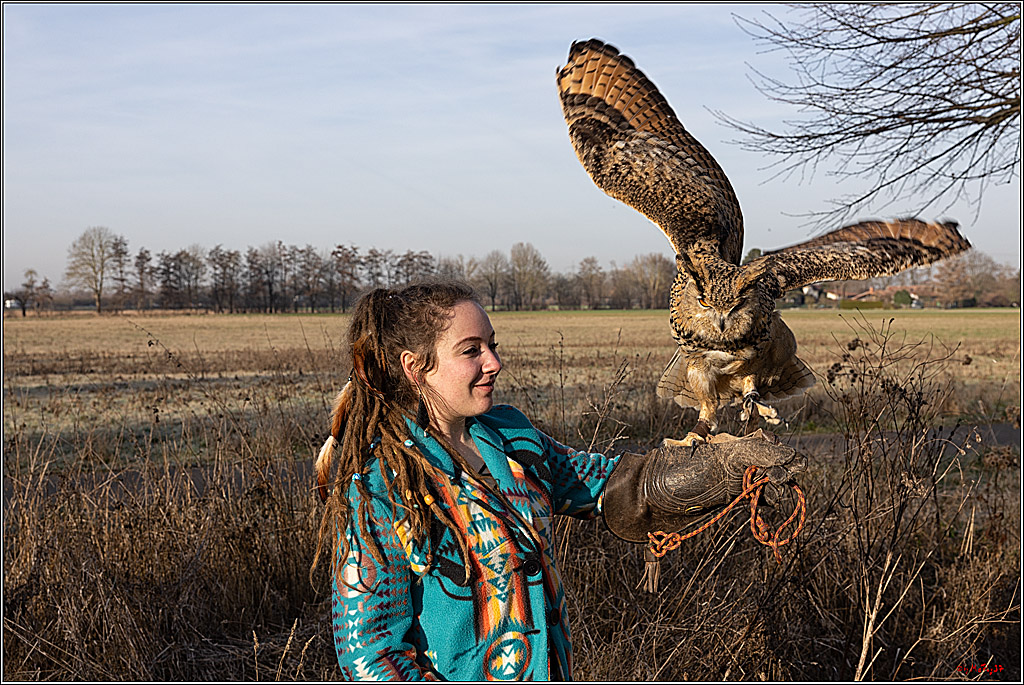 Cheyenne-Halbblut Hunting Wolf in der Falknerei Pierre Schmidt; Gymnich, 09.02.2023